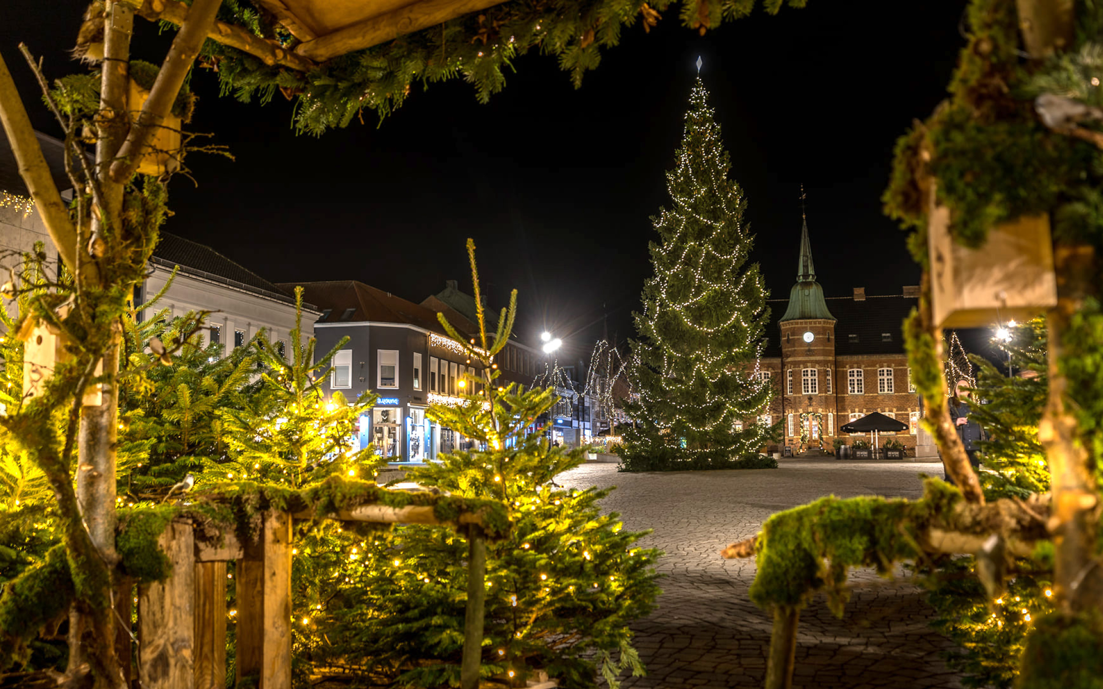 Fotoet viser juletræer med lys på Torvet i Silkeborg. Det er brugt til at markedsføre julehandlen i Silkeborg for Handel Silkeborg.